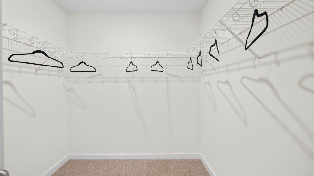 primary closet with shelving