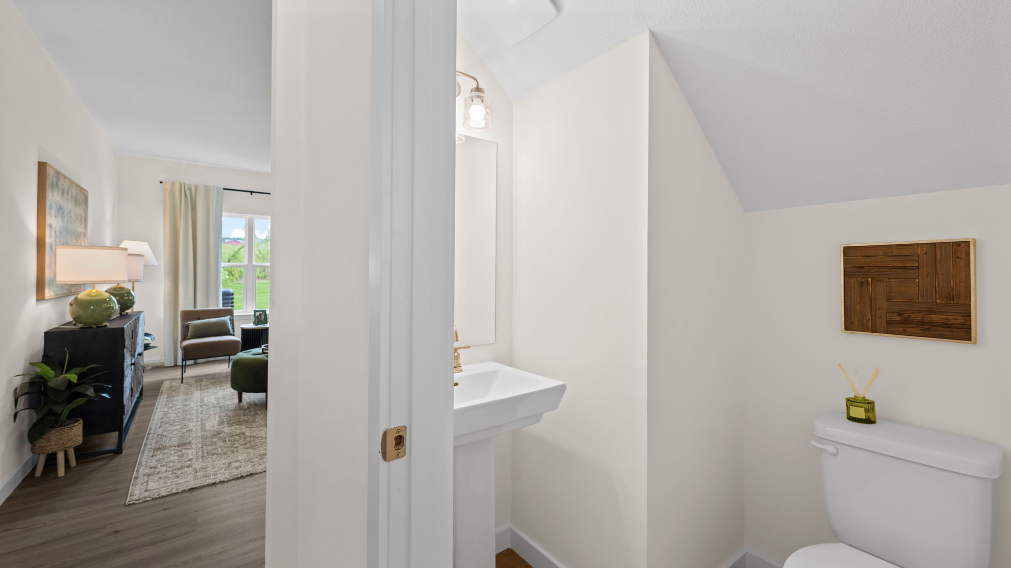 downstairs bathroom and entry hallway
