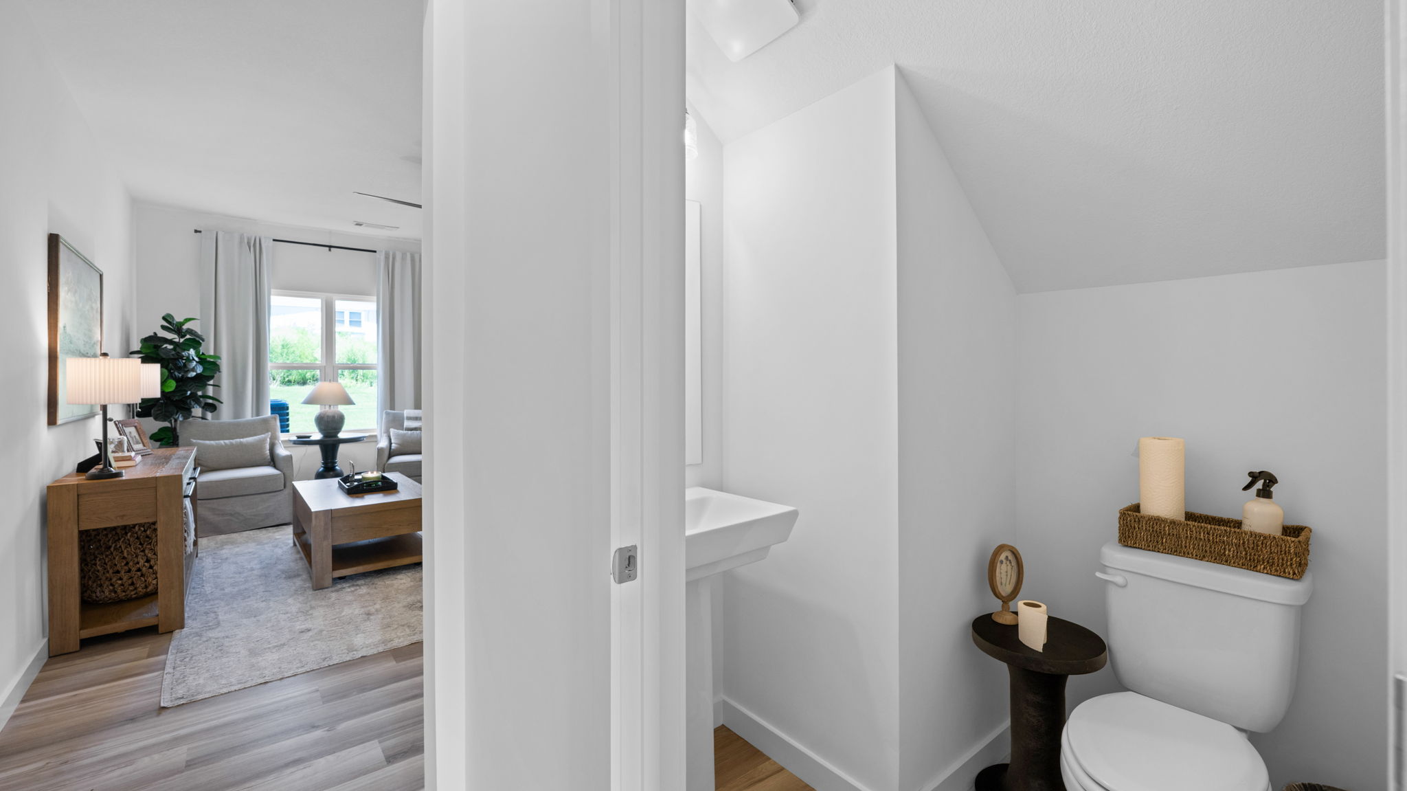 downstairs bathroom and entry hallway
