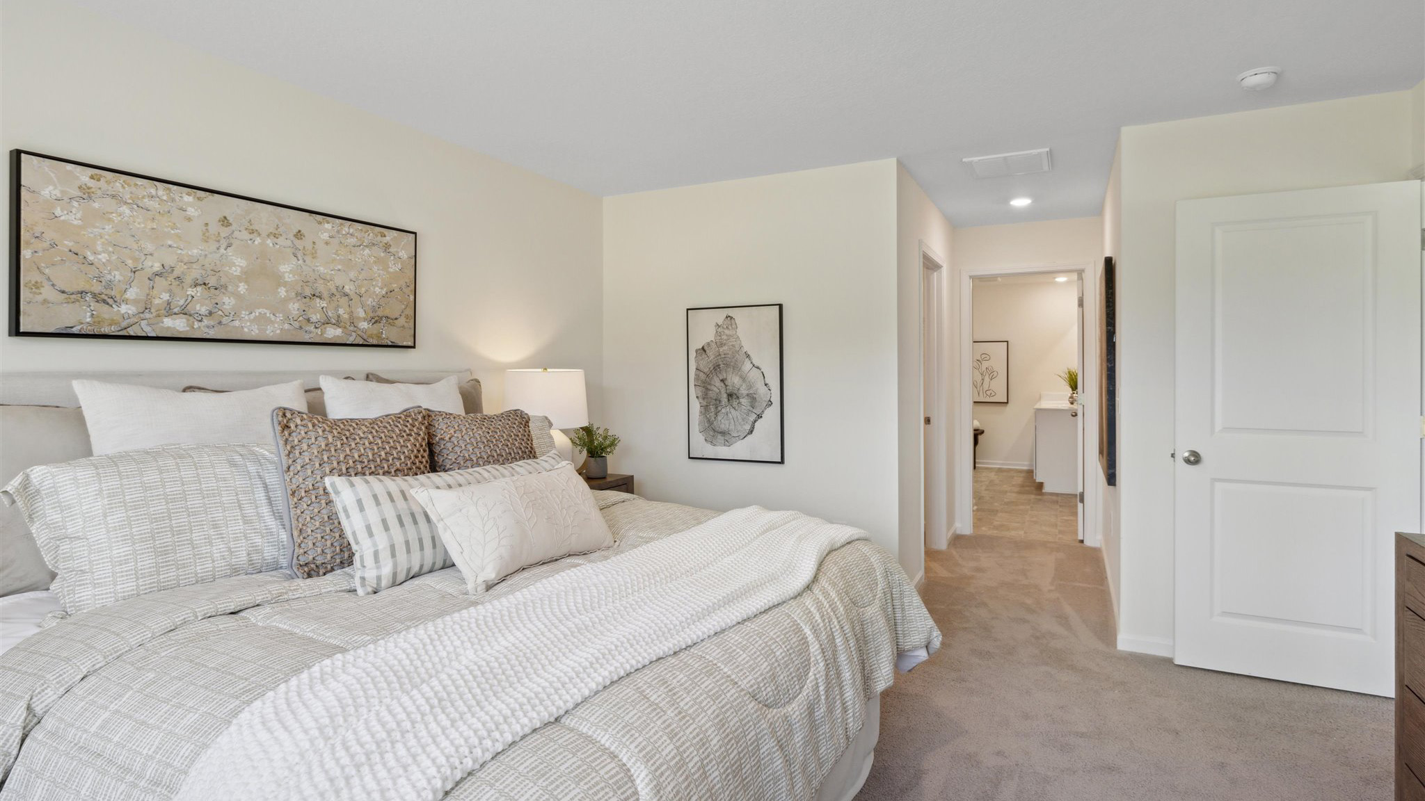 Primary bedroom with plush carpet floors and double light allowing windows