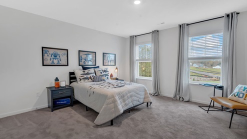 bedroom with two windows