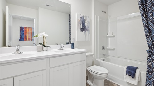Hall Bathroom