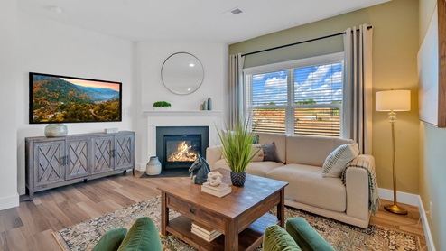 cozy living room with a green accent wall, large window, black fireplace and a white sofa
