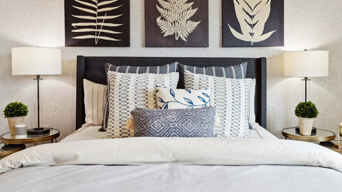 Primary bedroom with plush carpet floors and double light allowing windows