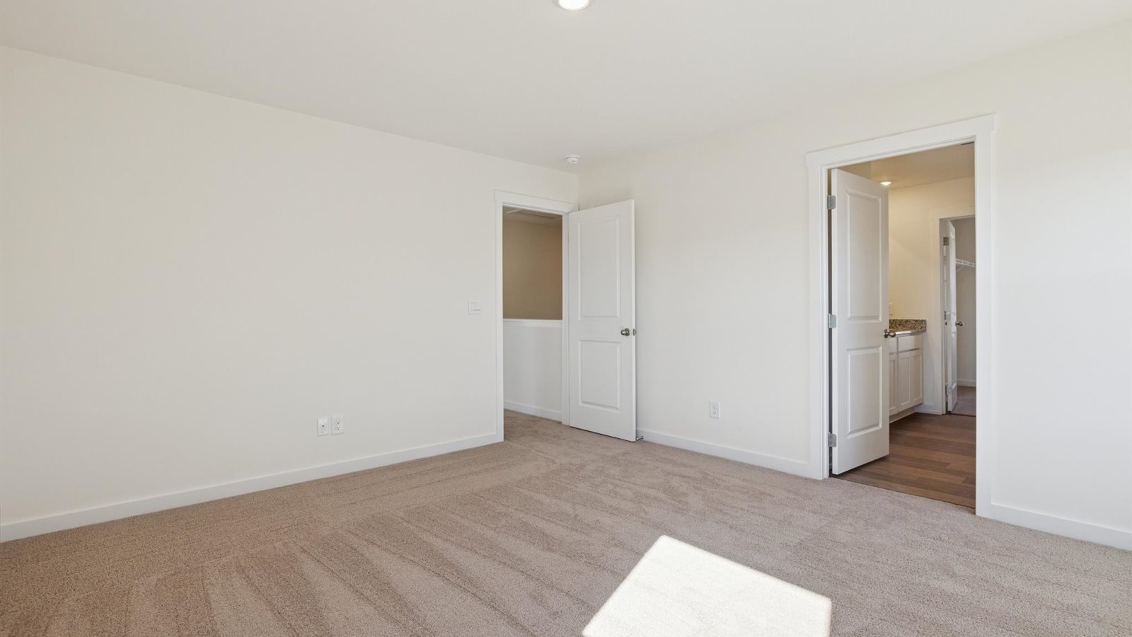 Primary bedroom with private attached bathroom and walk-in closet