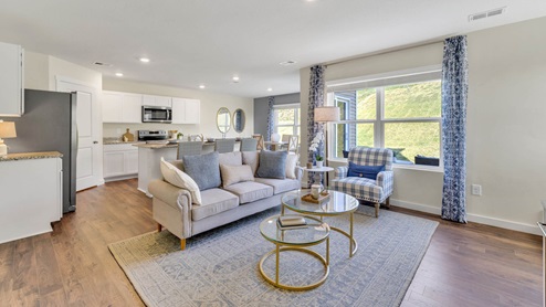 living room and kitchen