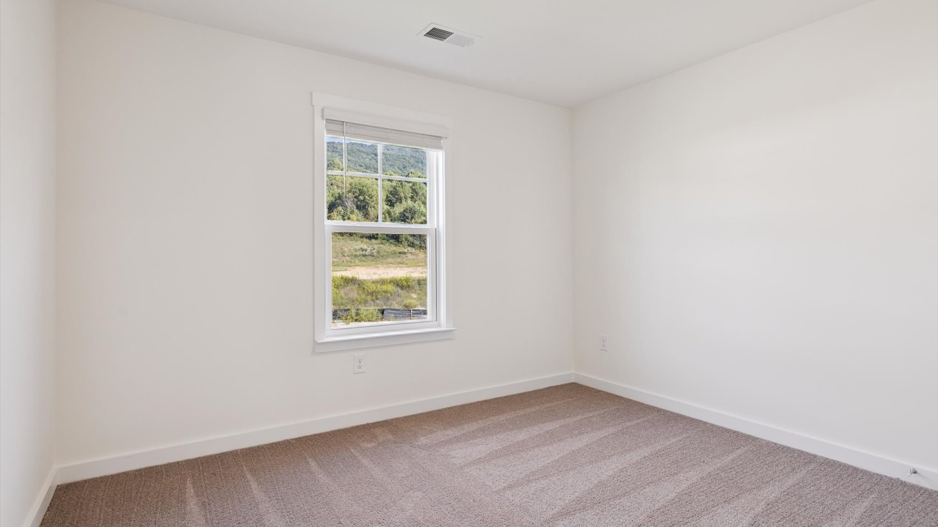 Second bedroom, flex, office, study, library, entertainment, game, craft room in this Emory Creek new home