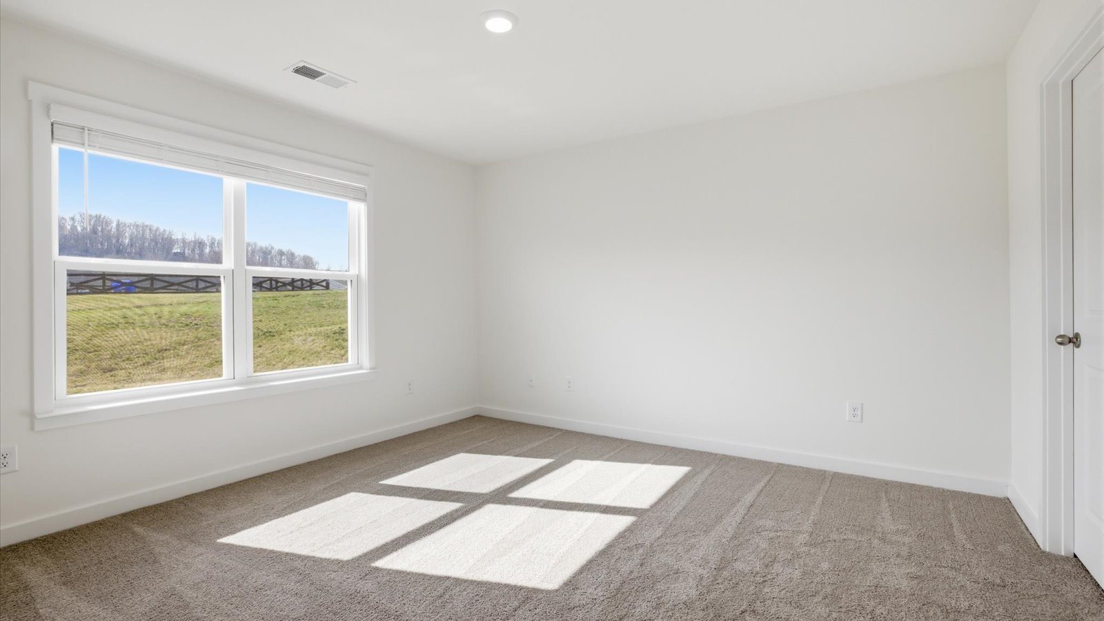 primary bedroom with carpet and large window facing back yard