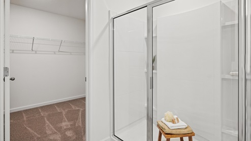 Walk in closet and glass shower