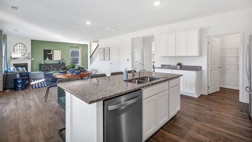 Kitchen view