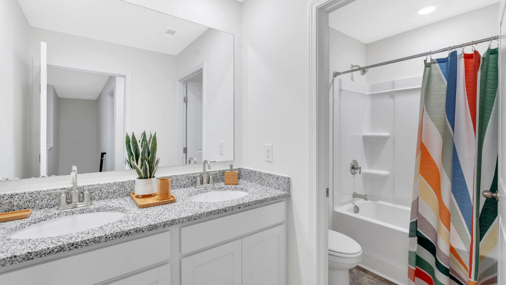full bathroom with double vanity and combination bath shower