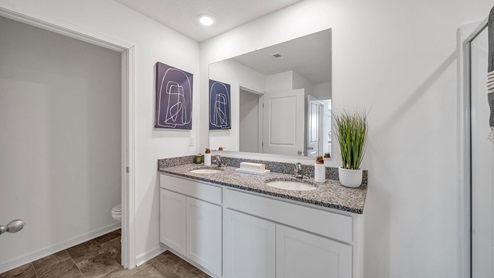 catlett-cove-green-model-primary-bathroom