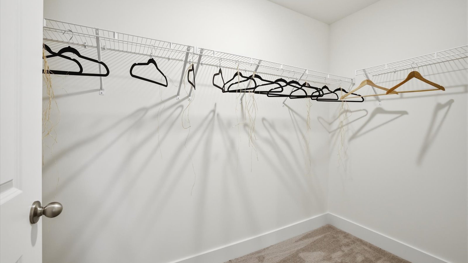 Private primary walk-in closet