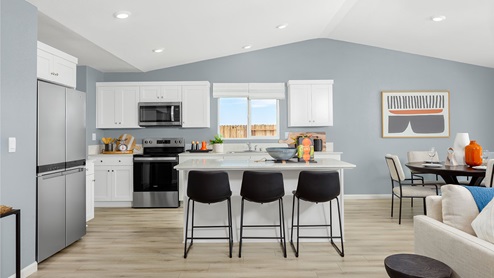 Alpine at Villa Ticino Plan 3 Kitchen