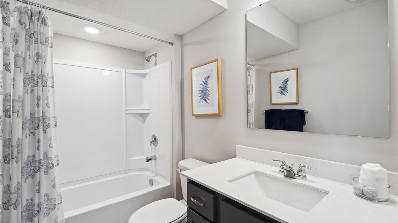 Lower level bathroom.