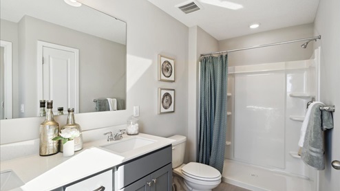 Bedroom suite bathroom.