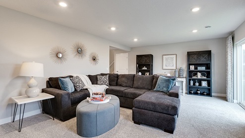 Lower level family room.