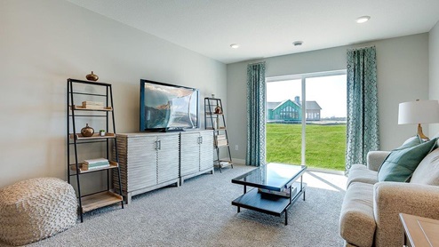 Finished lower level family room.