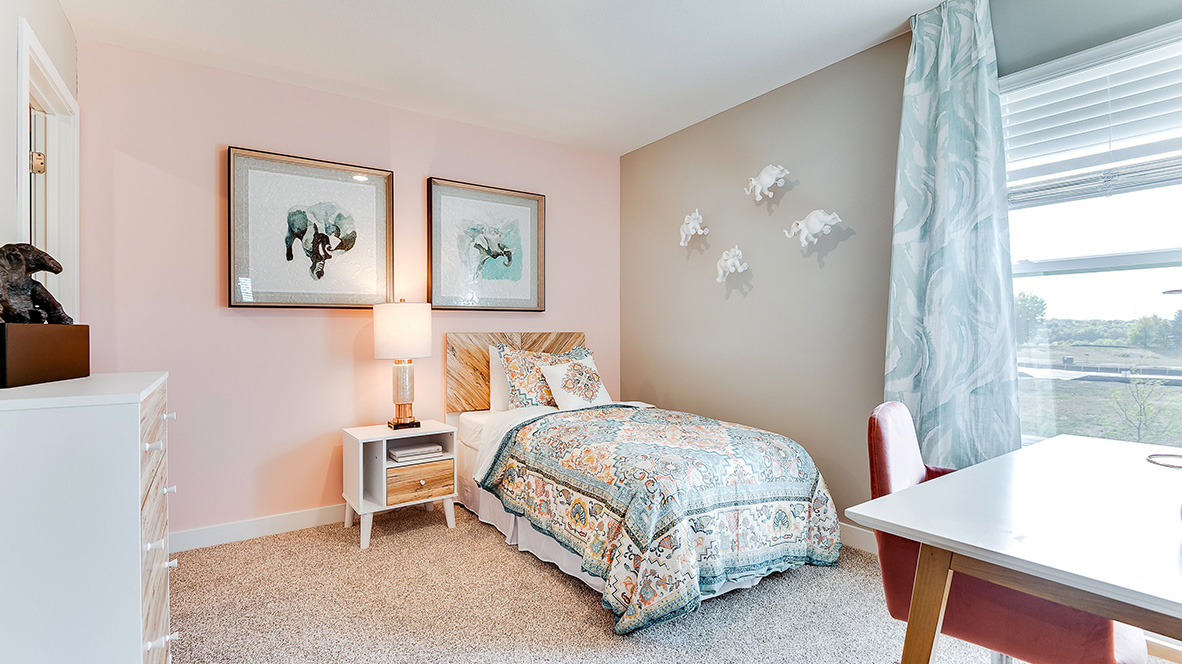 New Home in Farmington, Minnesota at Whispering Fields by D.R. Horton.