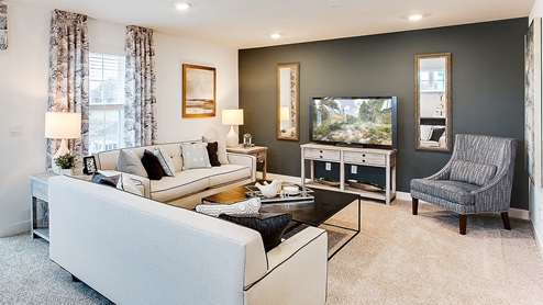 new townhome in cottage grove mn