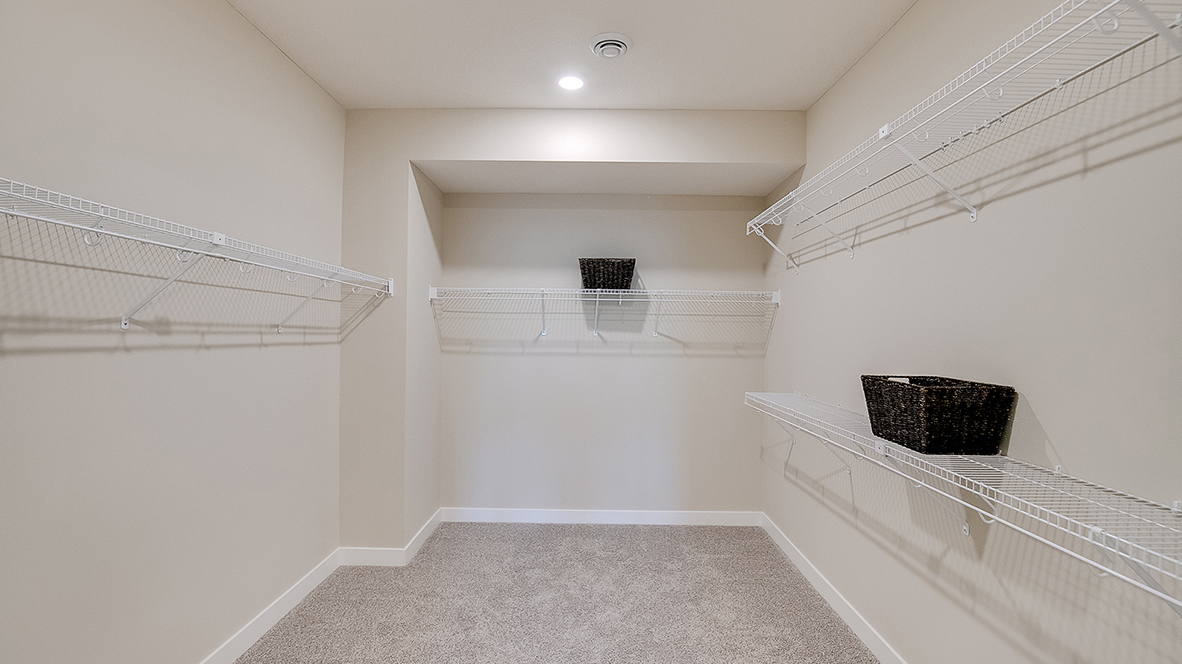 Carpeted walk-in closet.