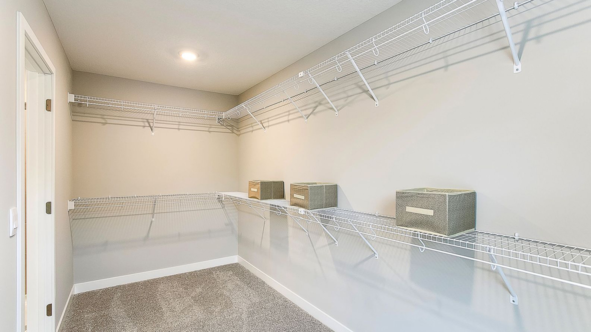 Walk-in carpeted closet with wire shelving
