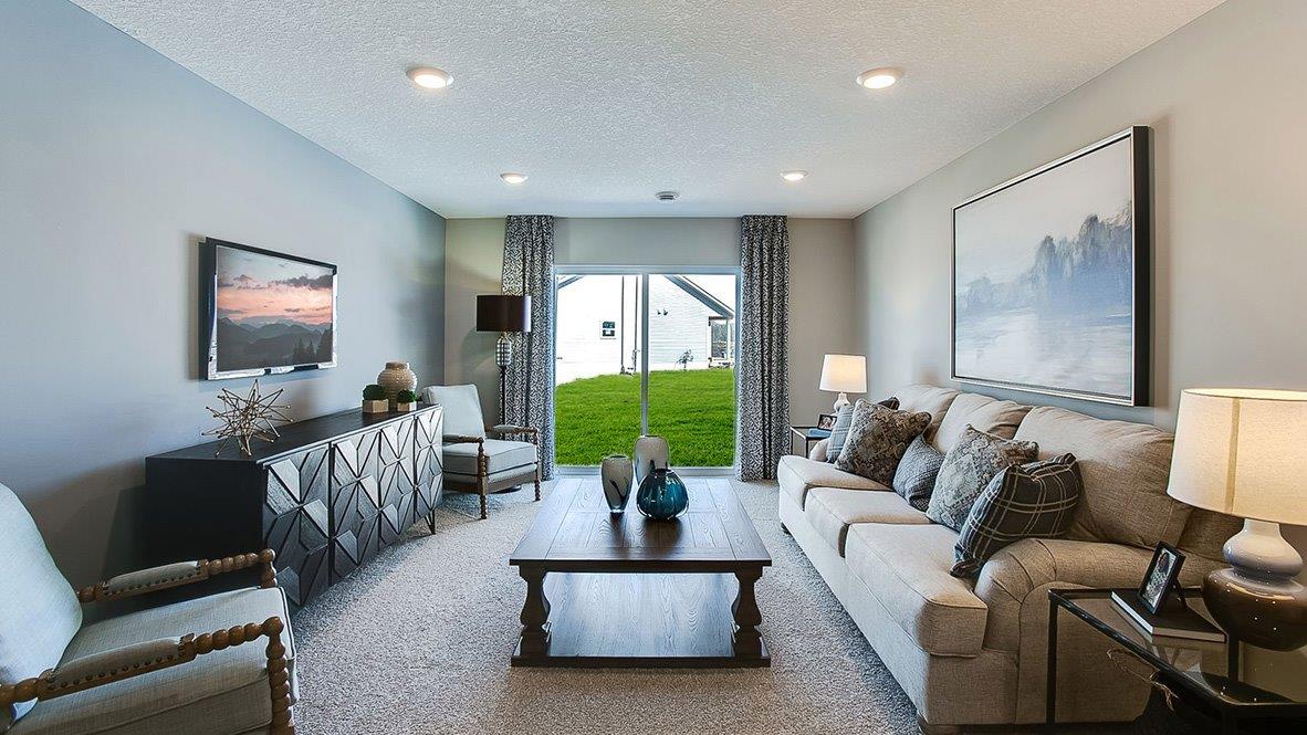 Living space in walkout-style basement.