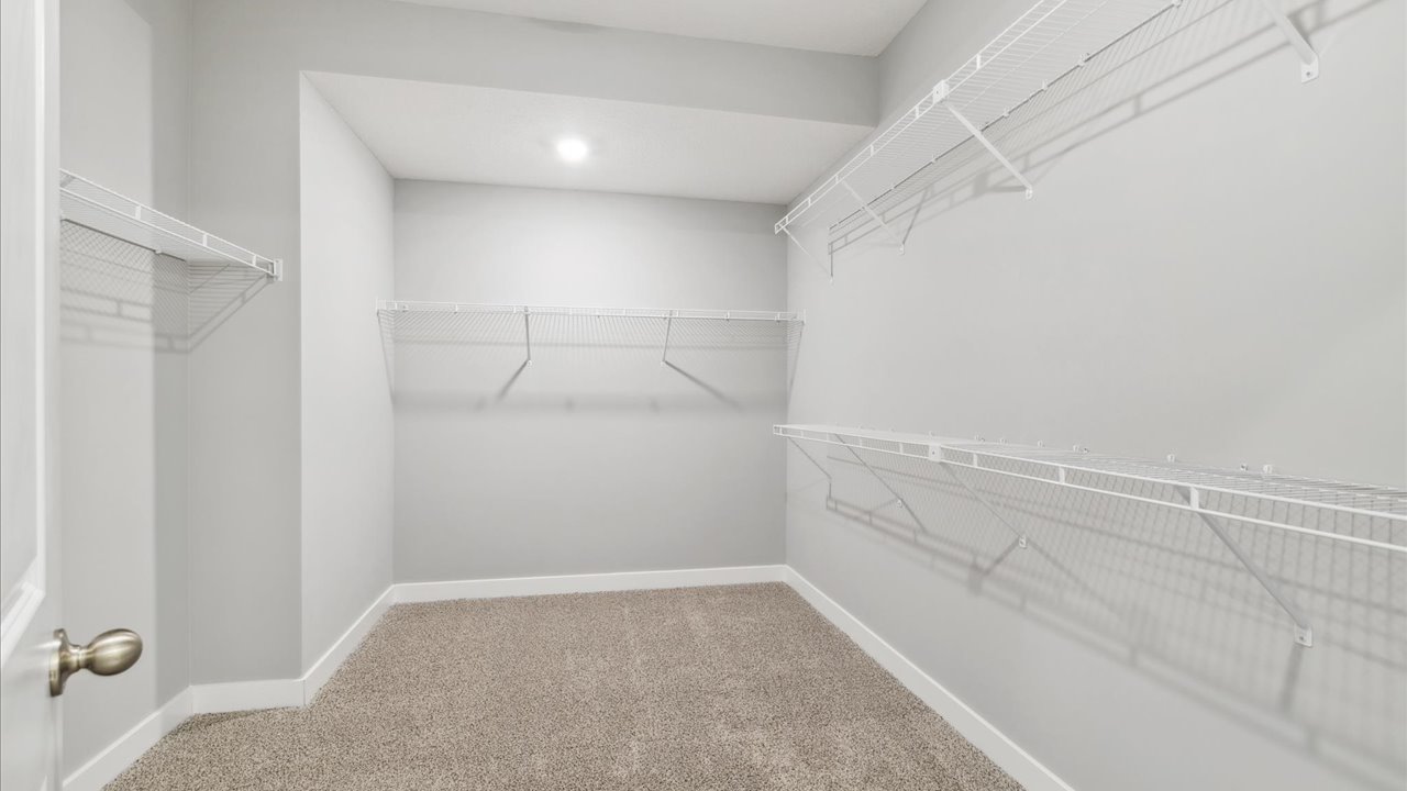 Spacious carpeted walk-in closet.