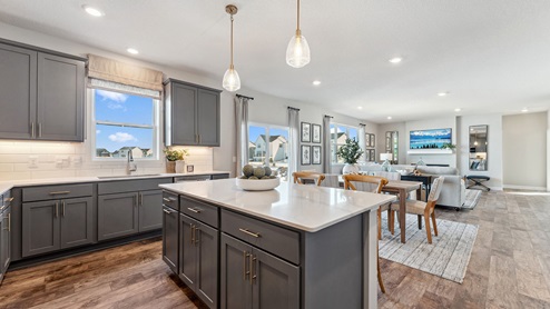 kitchen with grey cabinetry, large island and stainless steel appliances