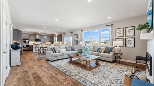 living room with a grey sectional, blue rug and brown coffee table