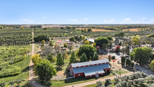Minnesota Harvest apple orchard.
