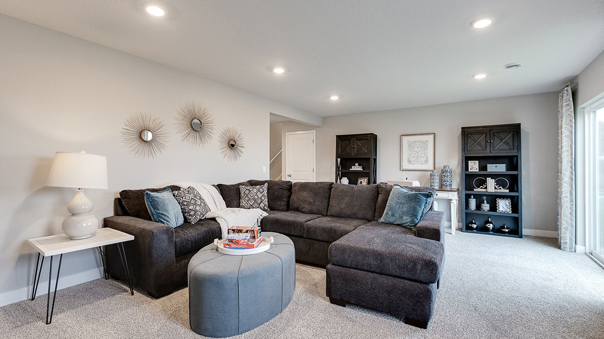 Basement living room