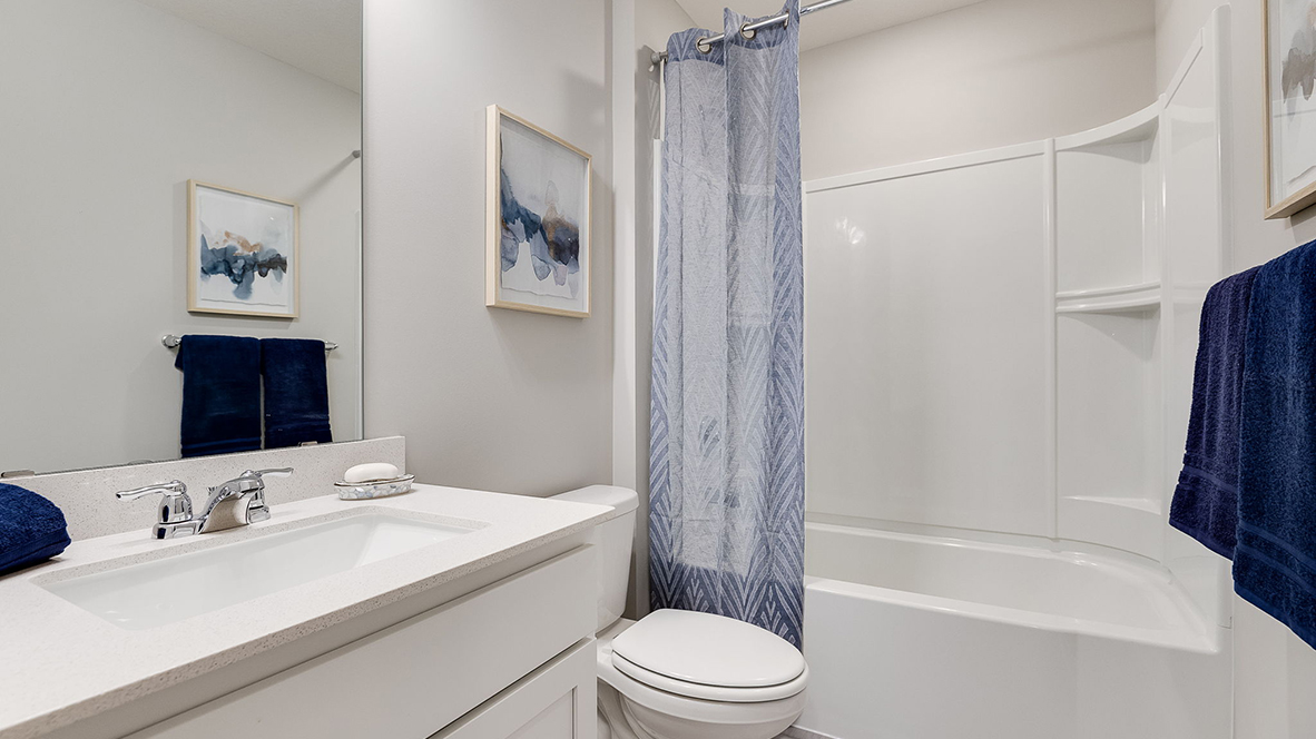 Lower level bathroom.