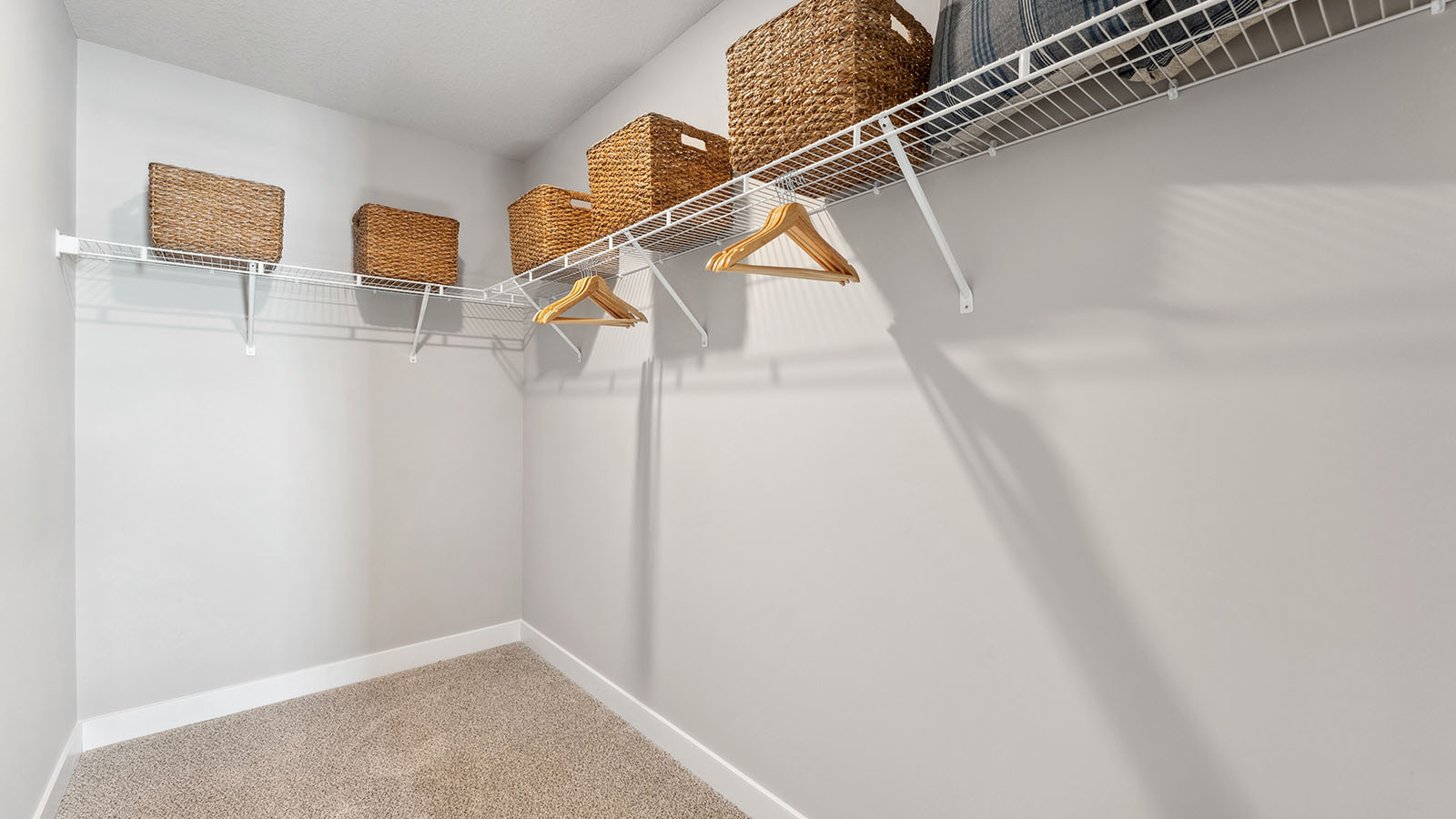 Bedroom suite's walk in closet