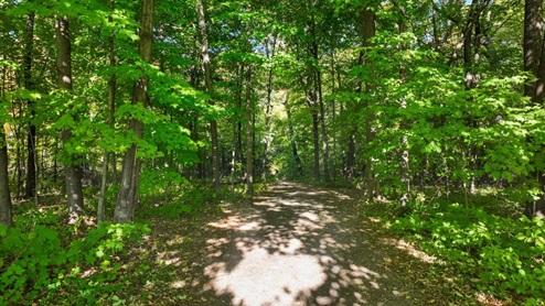 Henry's Woods Park in Rogers, Minnesota.