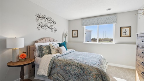 Lower level bedroom.