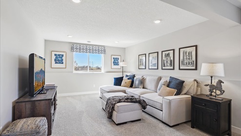 Finished lower level family room.