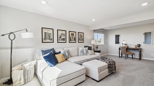Finished lower level family room.