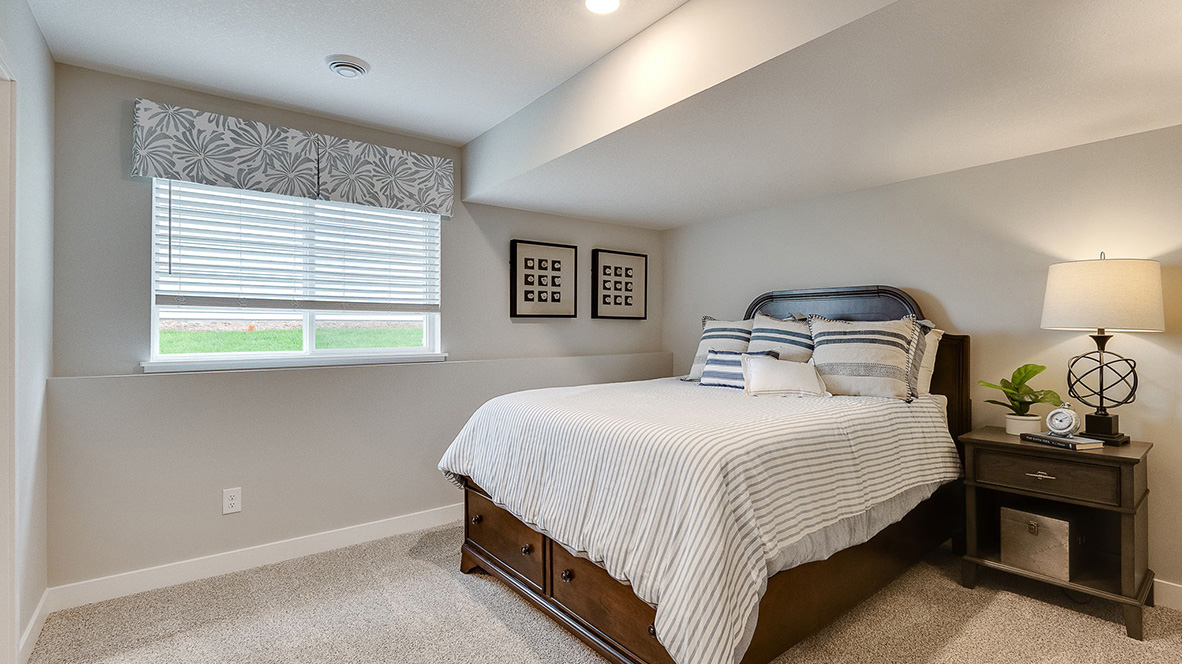 Lower level bedroom with walk-in closet.