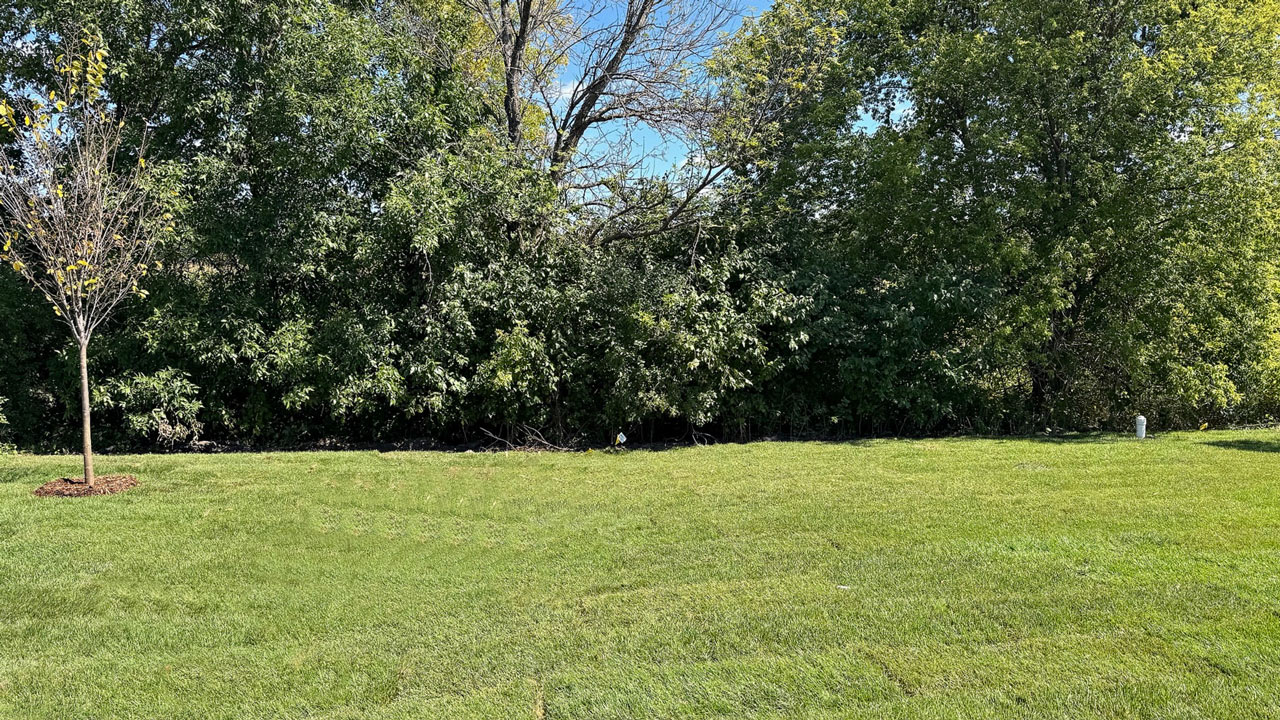 Back yard.