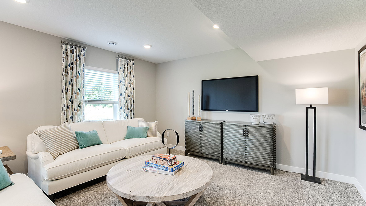 Finished Lower-Level family room