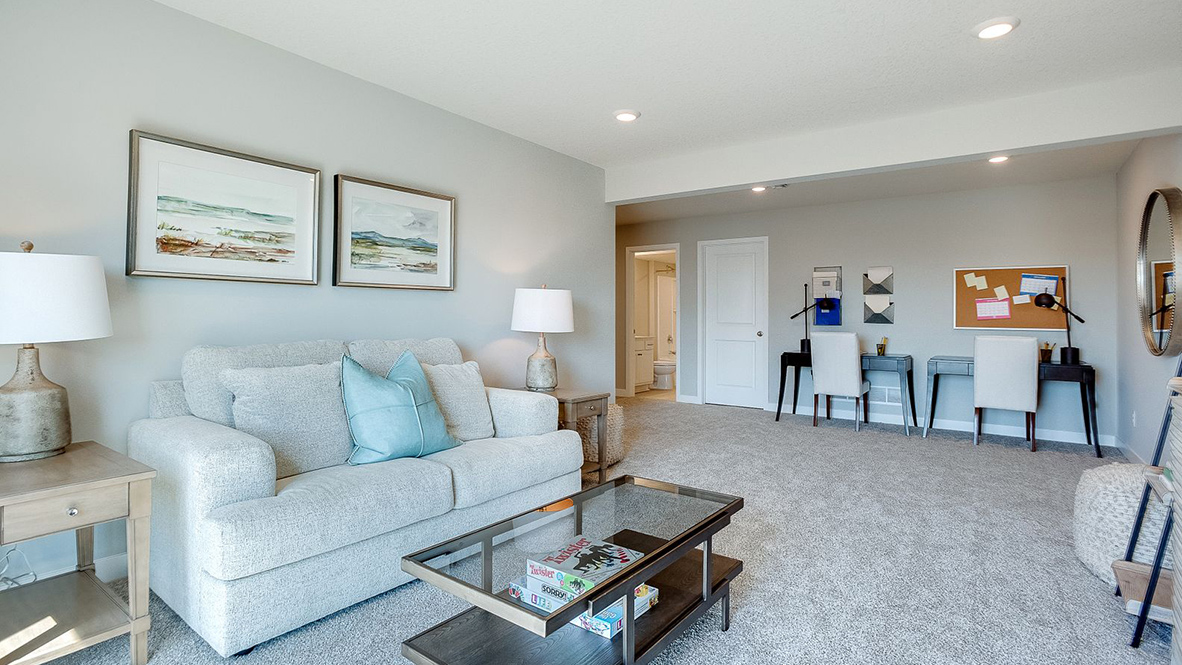 Basement in the Finnegan