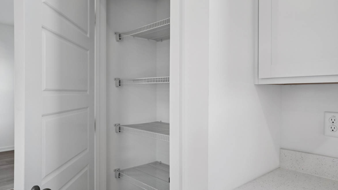 Kitchen pantry with door