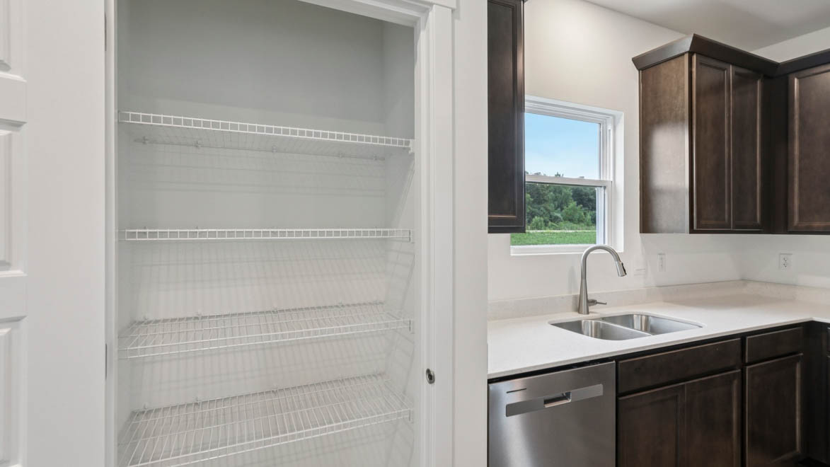 Kitchen pantry