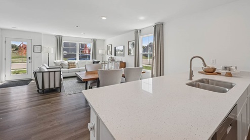 Kitchen island overlooking dining room and great room