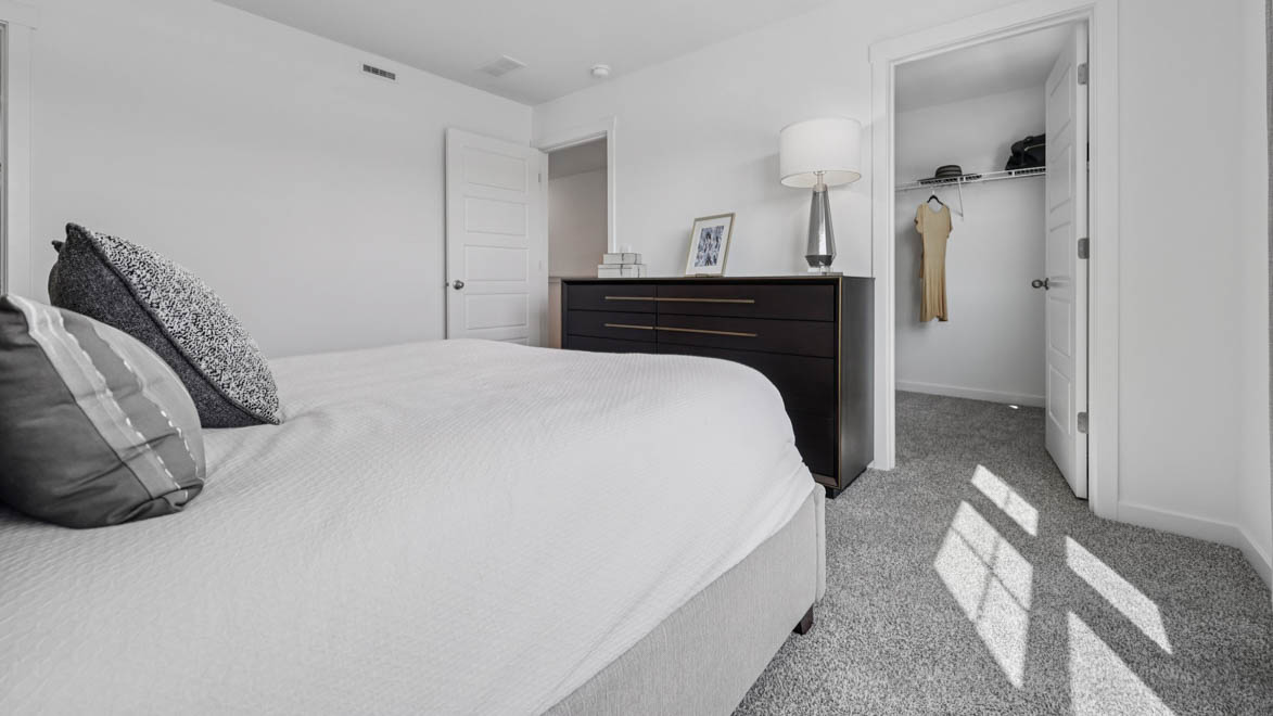 secondary bedroom with full carpet