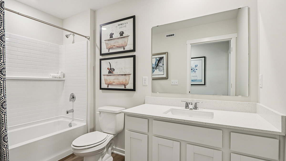 secondary full bathroom with single bowl vanity