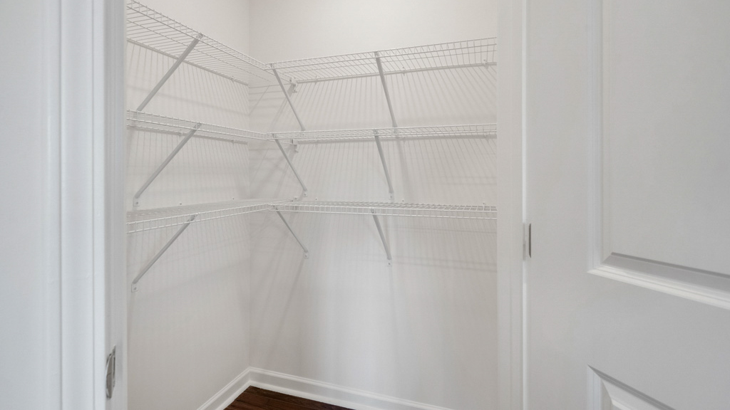 pantry with ample shelving and storage