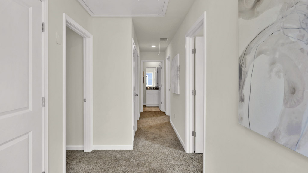 Darwin plan home interior