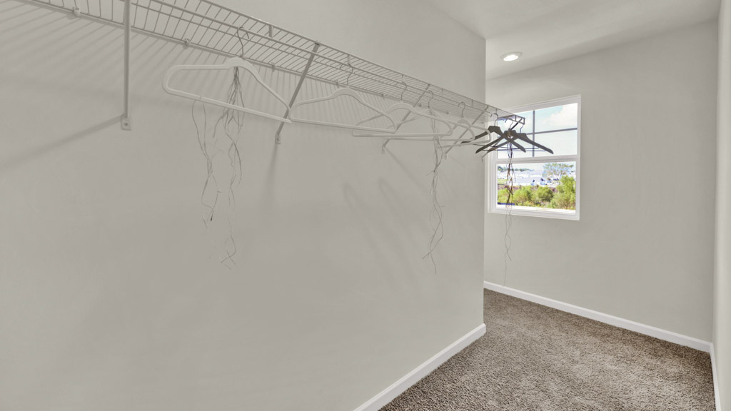 Darwin plan home interior